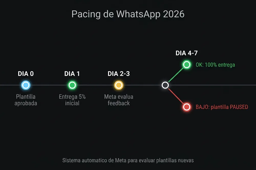 Timeline del pacing de WhatsApp: plantilla nueva entrega 5%, evalúa feedback y continúa al 100% o pausa según resultado